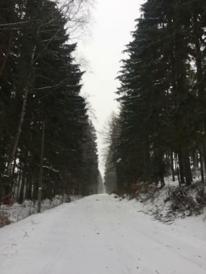 Hermanov 141 Jindrichovice Bagian luar foto